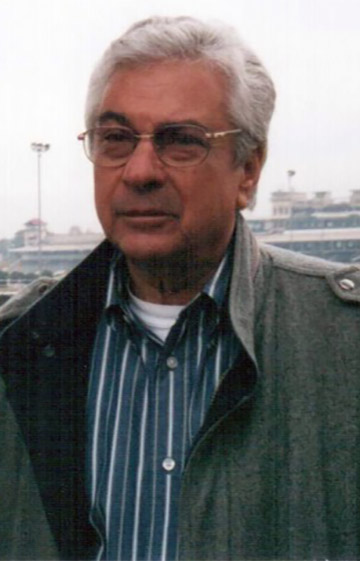 Heleno Losumar Ferreira de Castro